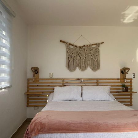 Casa Agustina Concon B&B 외부 사진